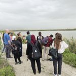Watching the Flamingos in Kfar Ruppin, February 2026
